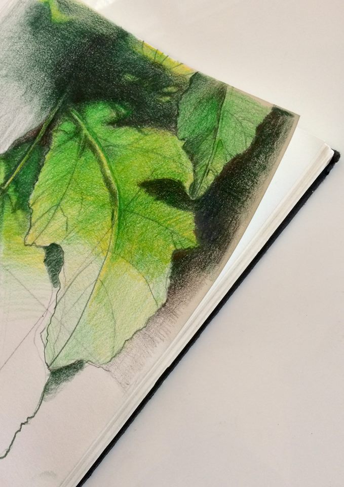 39112127_10155573096081835_2399368121107349504_n