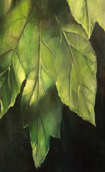 39261507_10155575737381835_6284379783681802240_n