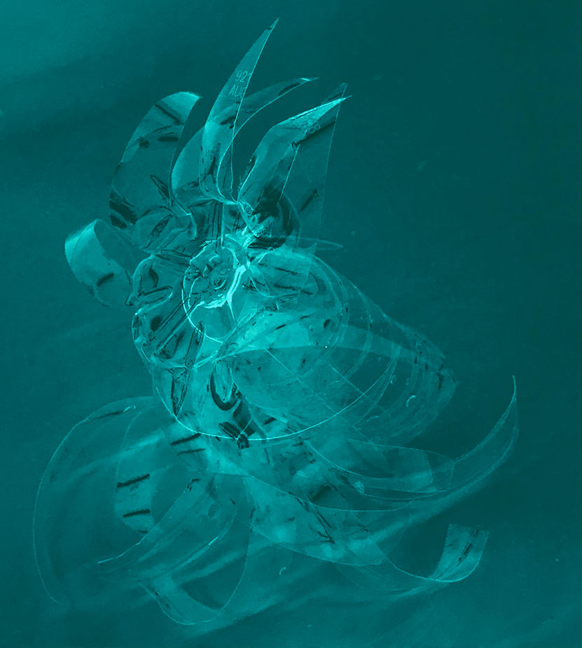 71387598_100399591374916_3056962274511028224_n