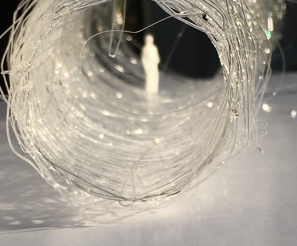 74947295_10156465627581835_5619952504813912064_n